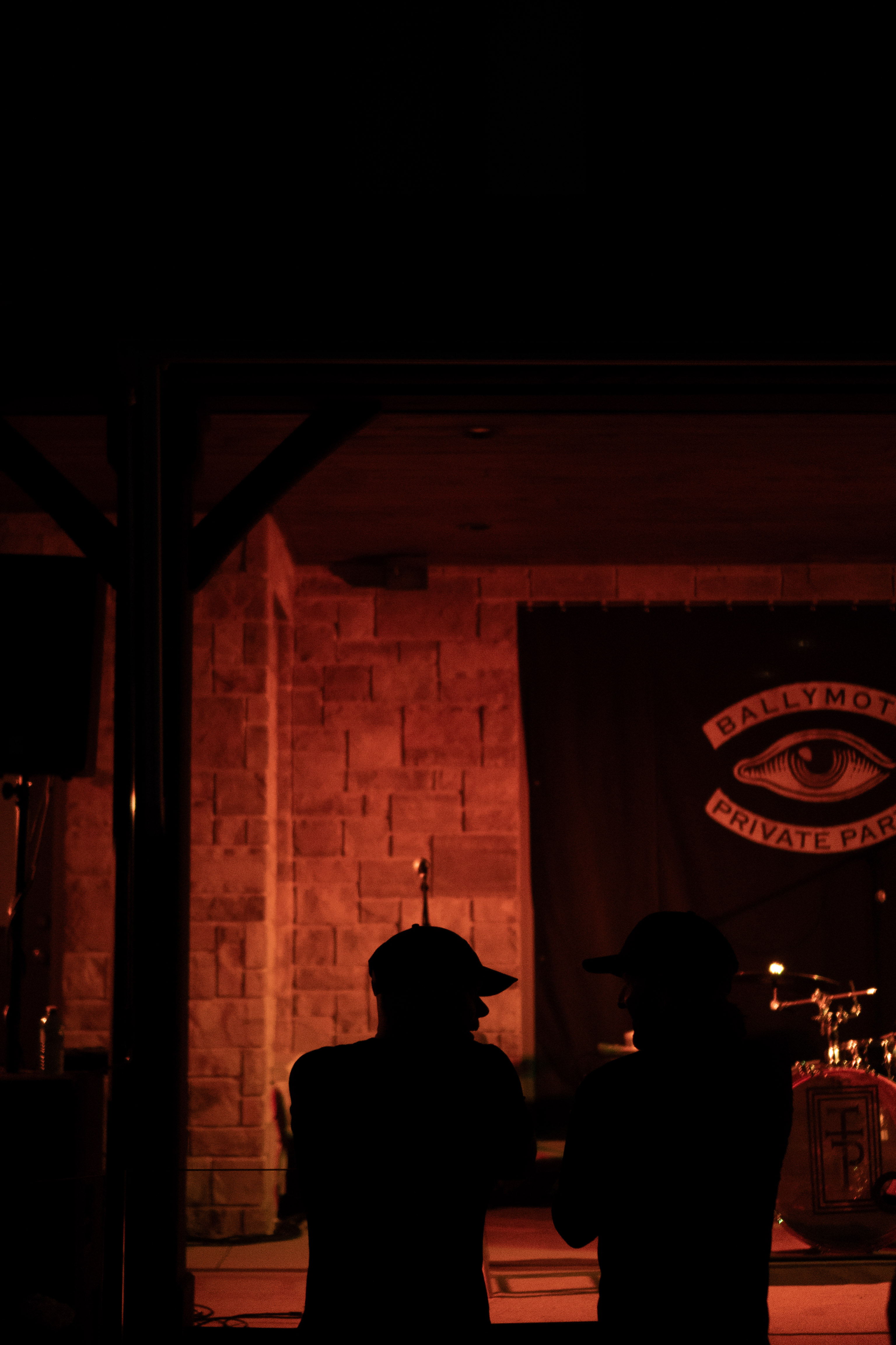 The Tea Party gallery photo